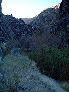 Plutonic rock walls hem in Darwin Canyon and the trail. Trees appear.