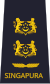 06-RSAF-OF04b.svg