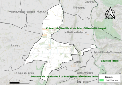 Carte des ZNIEFF de type 1 sur la commune.