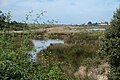 Marais de Müllembourg