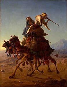 Bedouin on Camel