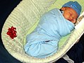 Swaddled infant sleeping in a Moses basket. The infant is on his back as per safe sleep recommendations.