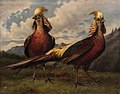 Golden Pheasants by Bertha Müller