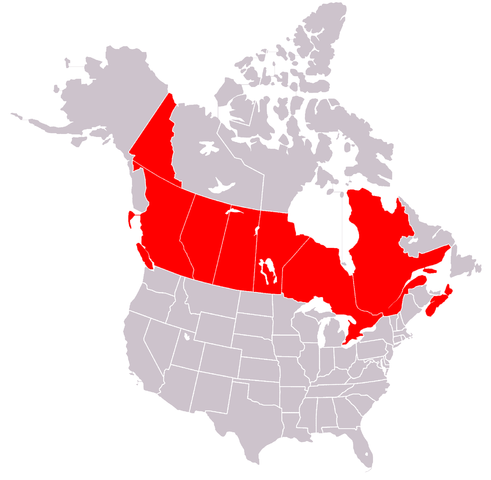 491px-BlankMap-USA-states-Canada-provinces_highlighting_OCA_Archdiocese_of_Canada.png