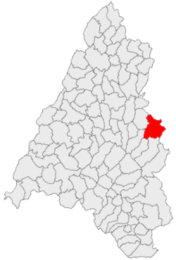 Location of Borod