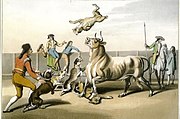 Bull-baiting en Espagne (1813-1814)