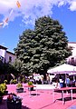 Paisaxe urbano de Camarena de la Sierra (Teruel), con detalle de la castañal d'indies (Aesculus hippocastanum) na plaza Mayor (2017).