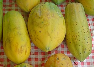 Papaya