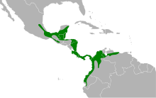 Carte de l'Amérique du sud et Centrale avev quelques zones coloriées en vert