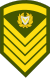 Cyprus-Army-OR-8.svg