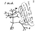 Image 18Charles Darwin's first sketch of an evolutionary tree from his First Notebook on Transmutation of Species (1837) (from History of biology)