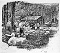 Die Gartenlaube (1890) b 606.jpg Holzhauer in dem von der Nonne zerstörten Walde