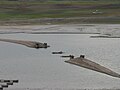 Edersee: ehemalige Brücke zwischen Scheid und Bringhausen