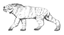 Ennedi tiger.svg