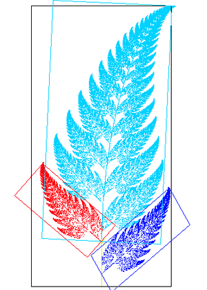 An image of the Barnsley fern which exhibits affine self-similarity Fractal fern explained.png