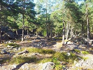 Den centrala delen av fornborgen Gåseborg