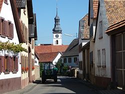 Skyline of Gönnheim