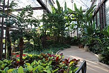 "Inside Sibley Horticultural Center