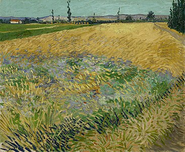 Wheat Field also Wheat Field with Alpilles Foothills in the Background, June 1888, Van Gogh Museum, Amsterdam, Netherlands (F411)