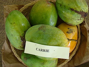 This is a photo of the display of Carrie mango...