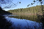 Mellansjön (Vinterskogens naturreservat)