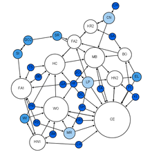 Moreno's sociogram of a 1st grade class. Moreno Sociogram 1st Grade.png