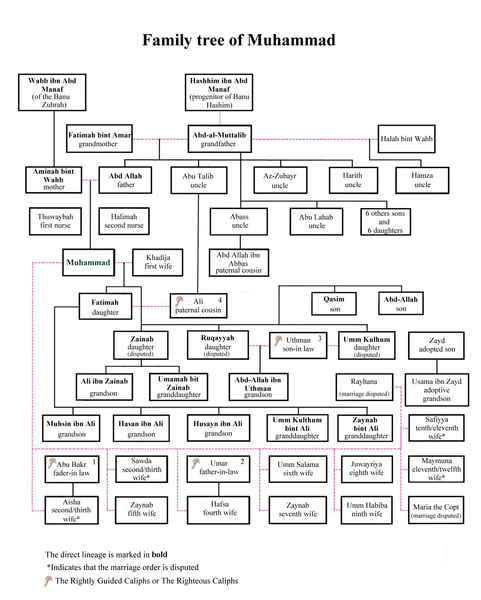 Family tree of Muhammad