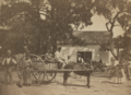 Slaves at the plantation of James Hopkinson, 1862