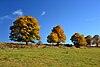 Prírodný park Bezručovo údolí