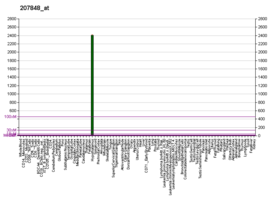 Gene Atlas image