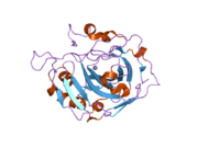 2hfy: Structural and kinetic analysis of proton shuttle residues in the active site of human carbonic anhydrase III