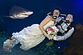 Palma Aquarium-Mariage sous l'eau