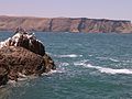 Vista de la bahía de Paracas desde la reserva nacional de Paracas.