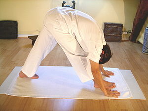 Yoga postures Parshvottanasana