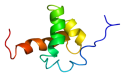 Белок NCOR2 PDB 1xc5.png