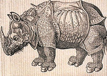 Durer's Rhinoceros in Konrad Gessner's Historia Animalium, 1551 Rhinoceros in Gesner's 1551 Historiae animalium.jpg