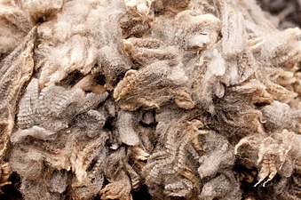 Royal Winter Fair Wool.jpg