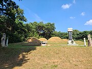 김전 선생 셋째 아들 김안수 묘.