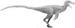 Miniatura para Stokesosauridae