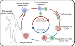 Vignette pour Vaccin contre le cancer