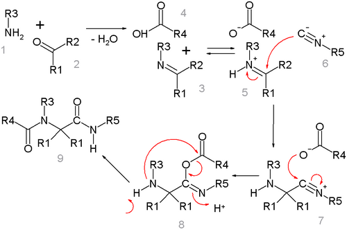 Mechanismus Ugiovy reakce