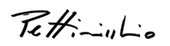 signature d'Umberto Pettinicchio