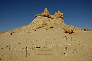 Okostje kita na vrhu peščenega griča v Vadi Al-Hitan (Dolina kitov) pri Fajumu