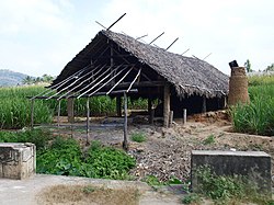 Shed for making jaggery