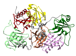 Gelsolin