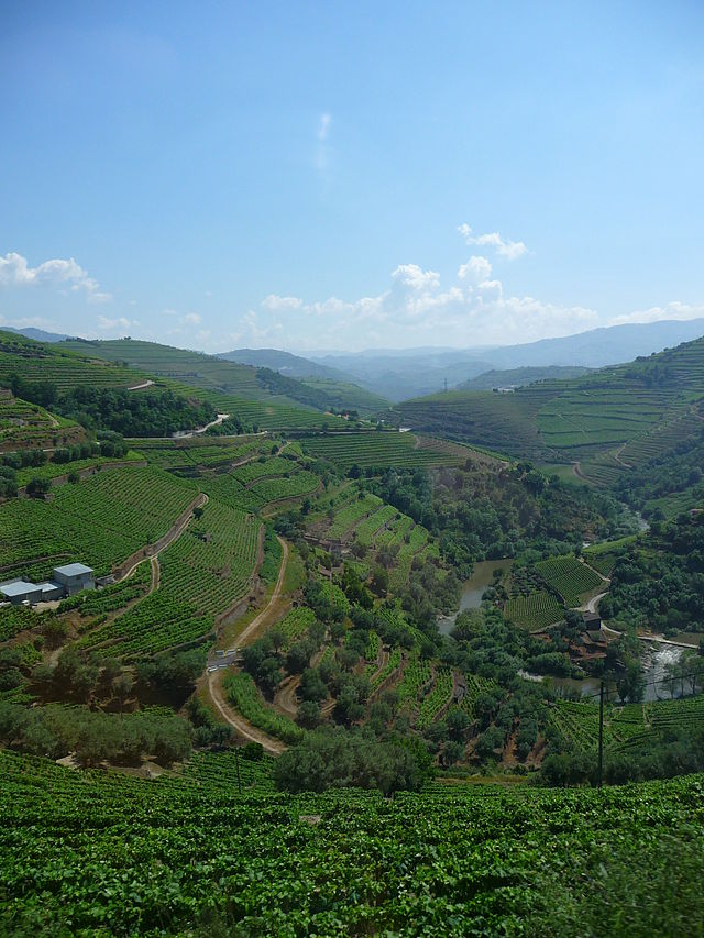 Alto Douro Vinhateiro visto de um comboio