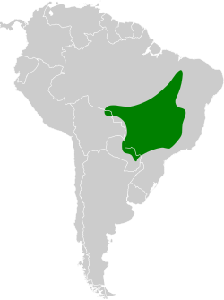 Distribución geográfica del saltarín de yelmo.