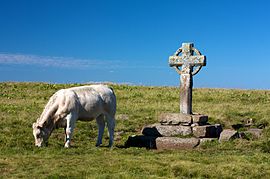 Wayside Cross in Aurelle-Verlac