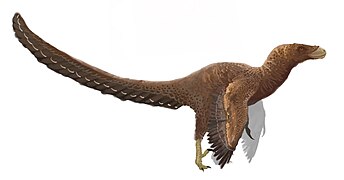 Bambiraptor