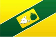 Vlag van Teofilândia